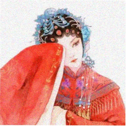 读者苏黎头像
